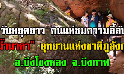 บึงกาฬ วันหยุดยาว นักท่องเทืี่ยวแห่ขึ้นชม