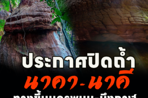 ประกาศปิดถ้ำนาคา ทางขึ้นนครพนม-บึงกาฬ ฟื้นฟูธรรมชาติ 1-31 พ.ค. นี้