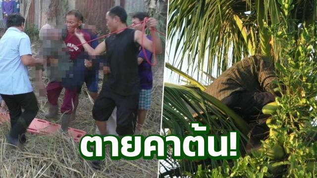 à¸ªà¸¥à¸ à¸à¹à¸­à¸§à¸±à¸¢67à¸«à¸²à¸à¸·à¹à¸­à¸¡à¸°à¸à¸£à¹à¸²à¸§à¹à¸«à¹à¸¥à¸¹à¸à¸ªà¸²à¸§à¹à¸à¸à¸²à¸¢ à¸à¸µà¸à¸à¸°à¸à¸±à¸ à¸à¸²à¸à¹à¸à¸à¸²à¸¢à¸à¹à¸­à¸ 