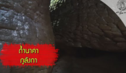 ส่องโลก ตอน เปิดป่าภูลังกา 2 (ถ้ำนาคา)