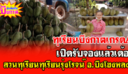 ออกแล้วทุเรียน จ.บึงกาฬ หมอนทองเกรด A มีหลายราคาให้เลือกเริ่มต้น 150