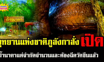 บึงกาฬ อุทยานแห่งชาติภูลังกาสั่งเปิดถ้ำนาคา จำกัดจำนวนเข้า-ต้องฉีดวัคซีนแล้ว