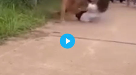 าพคลิปนักเรียนตีกัน ที่บริเวณริม อ่างกะซะ  เทศบาลตำบลศรีพนา ต.เซกา. จ.บึงกาฬ